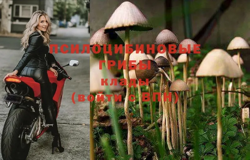 Галлюциногенные грибы Magic Shrooms  ссылка на мегу онион  Нерюнгри  даркнет сайт 